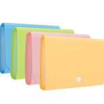 Fascikla sa pregradama neon Deli