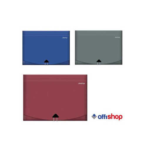 ns26971-83206 Fascikla organizer 12 pregrada OF313 - Slika 1
